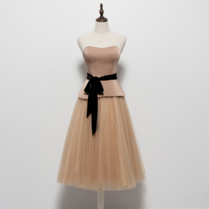 Champagne Homecoming Dress With Black Sash Prom..
