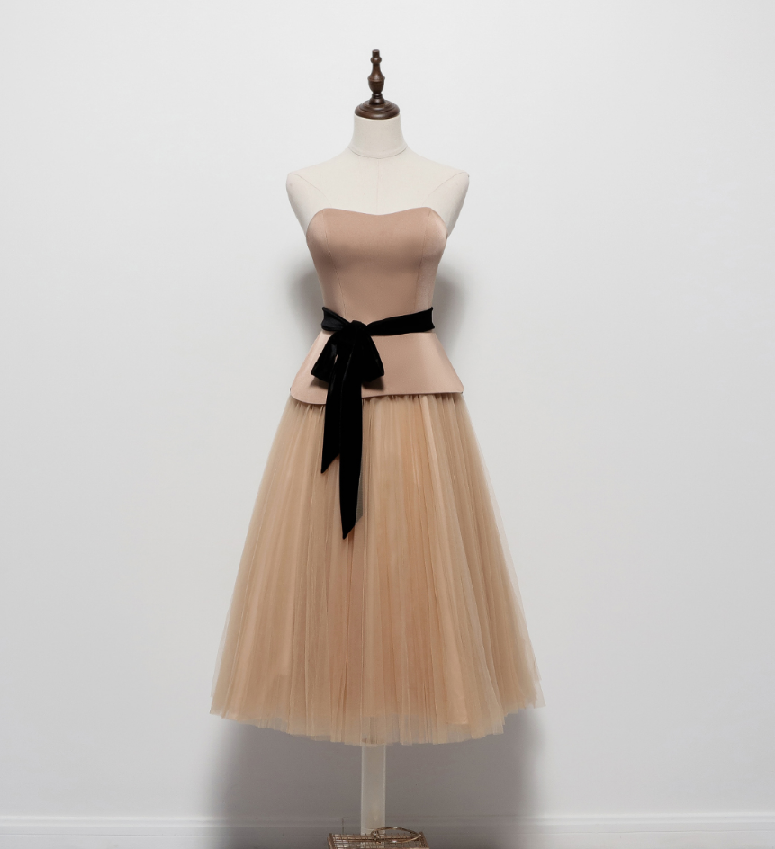 Champagne Homecoming Dress With Black Sash Prom Dress Short Formal